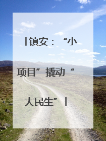 镇安：“小项目”撬动“大民生”