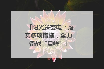阳光送变电：落实多项措施，全力备战“夏峰”