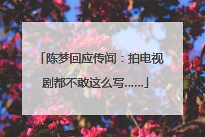 陈梦回应传闻：拍电视剧都不敢这么写……