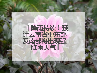 降雨持续！预计云南省中东部及南部将出现强降雨天气