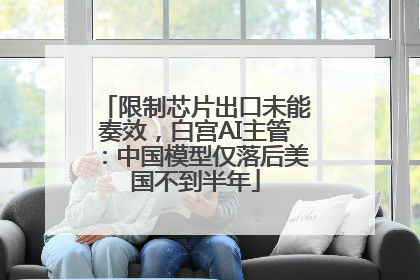 限制芯片出口未能奏效，白宫AI主管：中国模型仅落后美国不到半年