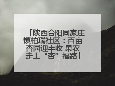 陕西合阳同家庄镇柏瑞社区：百亩杏园迎丰收 果农走上“杏”福路