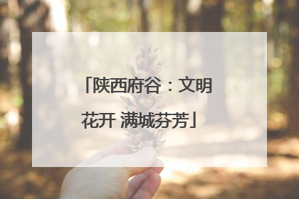 陕西府谷：文明花开 满城芬芳