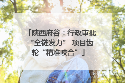 陕西府谷：行政审批“全链发力” 项目齿轮“精准咬合”
