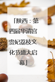 陕西：第四届华清宫贵妃荔枝文化节盛大启幕