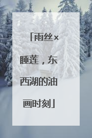 雨丝×睡莲，东西湖的油画时刻