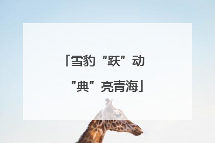 雪豹“跃”动 “典”亮青海