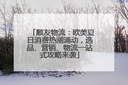 顺友物流：欧美夏日消费热潮涌动，选品、营销、物流一站式攻略来袭