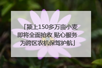 颍上150多万亩小麦即将全面抢收 贴心服务为跨区农机保驾护航