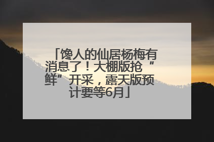 馋人的仙居杨梅有消息了！大棚版抢“鲜”开采，露天版预计要等6月