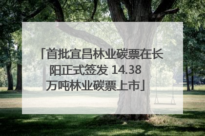 首批宜昌林业碳票在长阳正式签发 14.38万吨林业碳票上市
