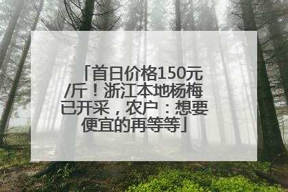 首日价格150元/斤！浙江本地杨梅已开采，农户：想要便宜的再等等