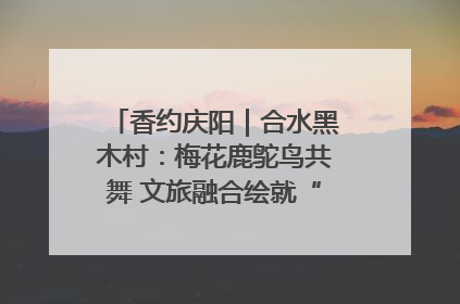 香约庆阳｜合水黑木村：梅花鹿鸵鸟共舞 文旅融合绘就“诗与远方”