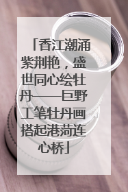 香江潮涌紫荆艳，盛世同心绘牡丹——巨野工笔牡丹画搭起港菏连心桥