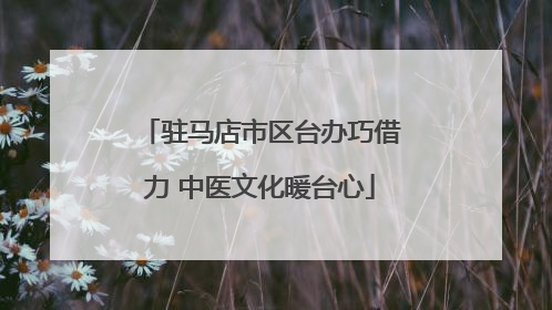驻马店市区台办巧借力 中医文化暖台心