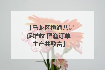马龙区稻渔共舞促增收 稻渔订单生产共致富
