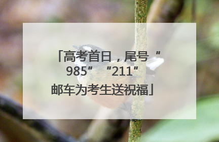 高考首日，尾号“985”“211”邮车为考生送祝福