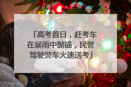 高考首日，赶考车在暴雨中抛锚，民警驾驶警车火速送考