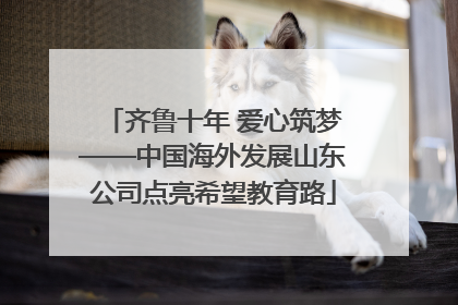 齐鲁十年 爱心筑梦——中国海外发展山东公司点亮希望教育路