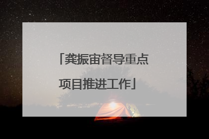 龚振宙督导重点项目推进工作