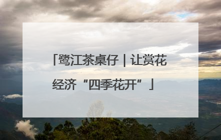 鹭江茶桌仔｜让赏花经济“四季花开”