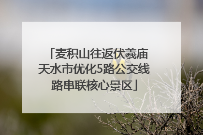 麦积山往返伏羲庙 天水市优化5路公交线路串联核心景区