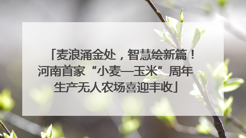 麦浪涌金处，智慧绘新篇！河南首家“小麦—玉米”周年生产无人农场喜迎丰收