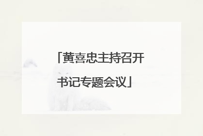 黄喜忠主持召开书记专题会议