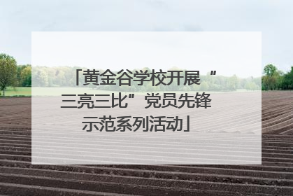 黄金谷学校开展“三亮三比”党员先锋示范系列活动