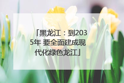 黑龙江：到2035年 要全面建成现代化绿色龙江