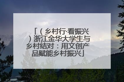 （乡村行·看振兴）浙江金华大学生与乡村结对：用文创产品赋能乡村振兴