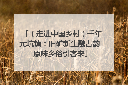 （走进中国乡村）千年元坑镇：旧矿新生融古韵 原味乡俗引客来