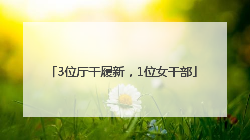3位厅干履新，1位女干部