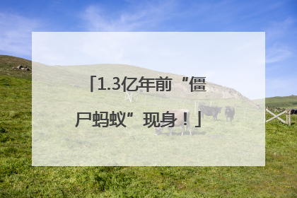 1.3亿年前“僵尸蚂蚁”现身！