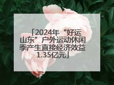 2024年“好运山东”户外运动休闲季产生直接经济效益1.35亿元