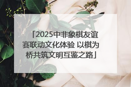 2025中非象棋友谊赛联动文化体验 以棋为桥共筑文明互鉴之路