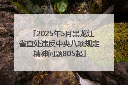 2025年5月黑龙江省查处违反中央八项规定精神问题805起