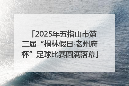 2025年五指山市第三届“桐林假日·老州府杯”足球比赛圆满落幕