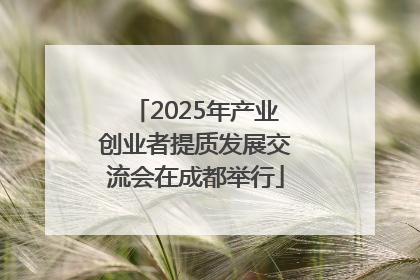 2025年产业创业者提质发展交流会在成都举行