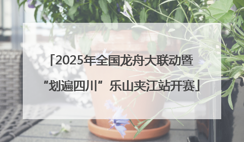 2025年全国龙舟大联动暨“划遍四川”乐山夹江站开赛