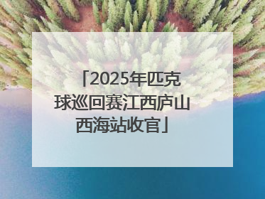 2025年匹克球巡回赛江西庐山西海站收官