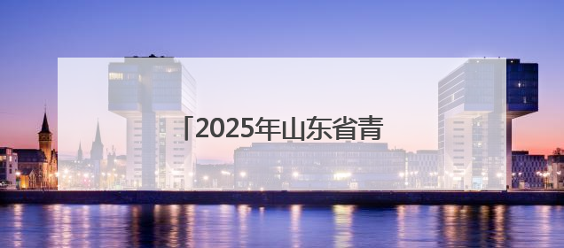 2025年山东省青少年成语经典故事会聊城选拔赛开始报名