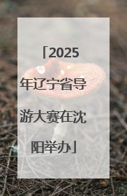 2025年辽宁省导游大赛在沈阳举办