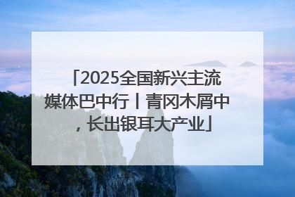 2025全国新兴主流媒体巴中行丨青冈木屑中，长出银耳大产业