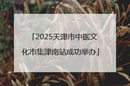 2025天津市中医文化市集津南站成功举办
