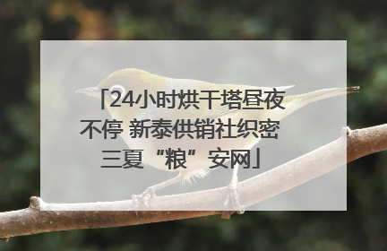 24小时烘干塔昼夜不停 新泰供销社织密三夏“粮”安网