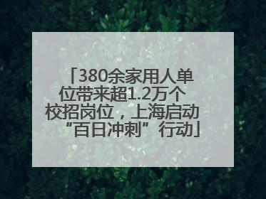 380余家用人单位带来超1.2万个校招岗位，上海启动“百日冲刺”行动