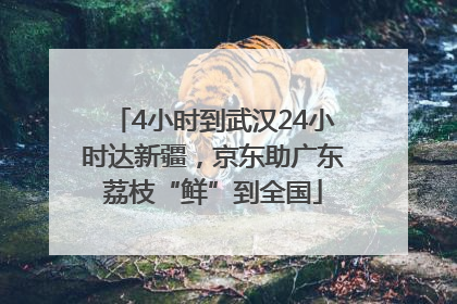 4小时到武汉24小时达新疆，京东助广东荔枝“鲜”到全国