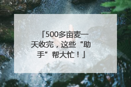 500多亩麦一天收完，这些“助手”帮大忙！