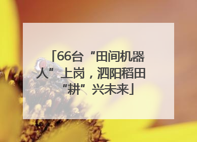 66台“田间机器人”上岗，泗阳稻田“耕”兴未来